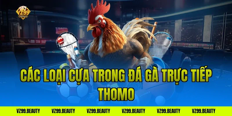 Các loại cựa trong đá gà trực tiếp thomo