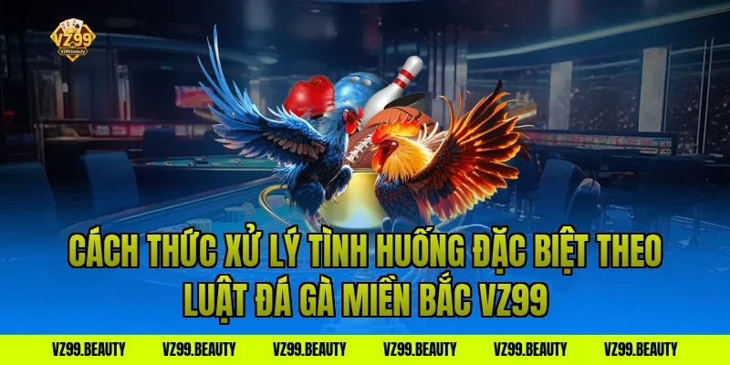 Cách thức xử lý tình huống đặc biệt theo Luật Đá Gà Miền Bắc VZ99