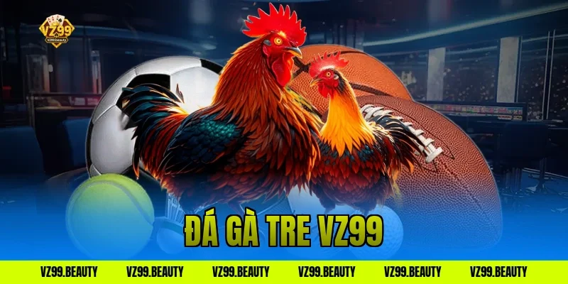 Đá Gà Tre VZ99: Trận Chiến Kịch Tính, Cược Đâu Thắng Đó