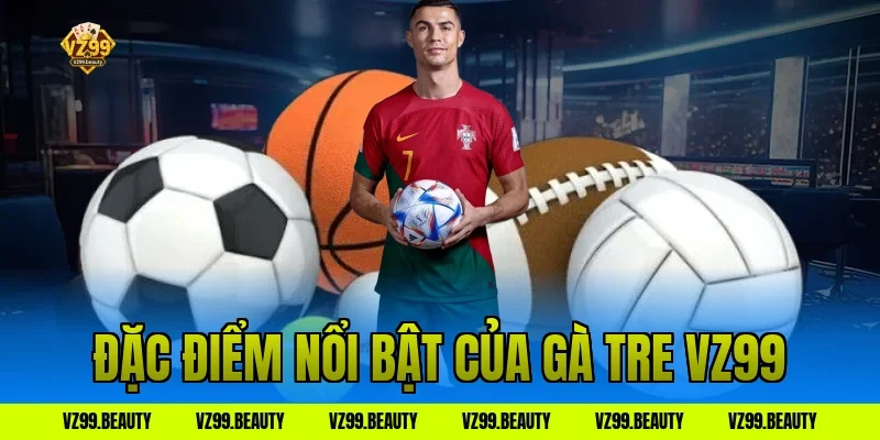 Đặc điểm nổi bật của gà tre VZ99