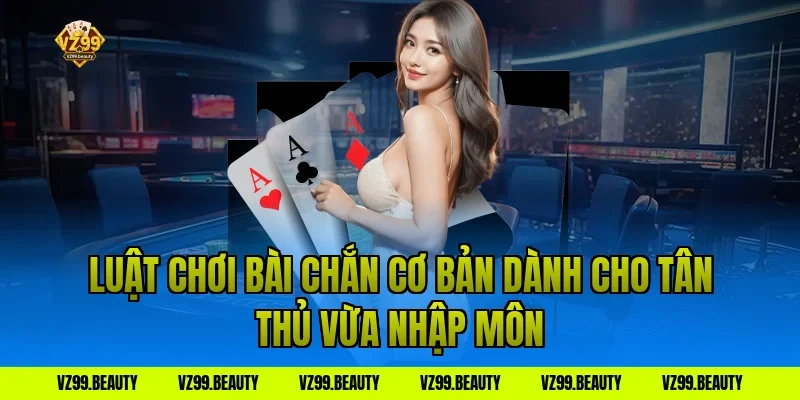 Luật Chơi Bài Chắn Cơ Bản Dành Cho Tân Thủ Vừa Nhập Môn
