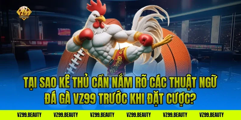 Tại Sao Kê Thủ Cần Nắm Rõ Các Thuật Ngữ Đá Gà VZ99 Trước Khi Đặt Cược?