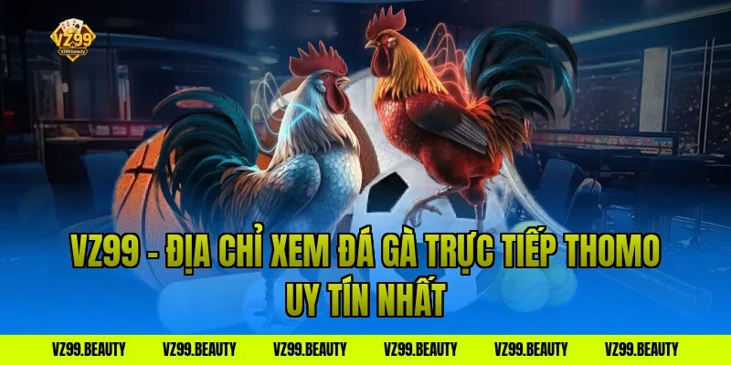 VZ99 - Địa chỉ xem đá gà trực tiếp thomo uy tín nhất